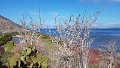 20180112_002754